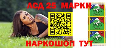 apvp Канаш