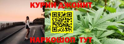 apvp Канаш