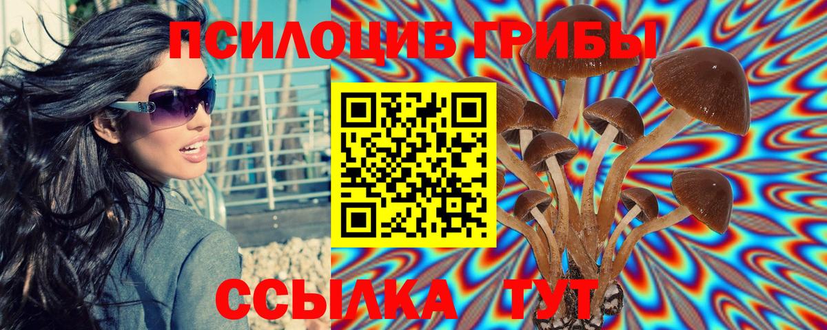 Псилоцибиновые грибы прущие грибы Шелехов